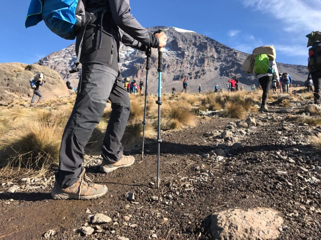 Man hiking in the mountains with trekking poles along with other people.
